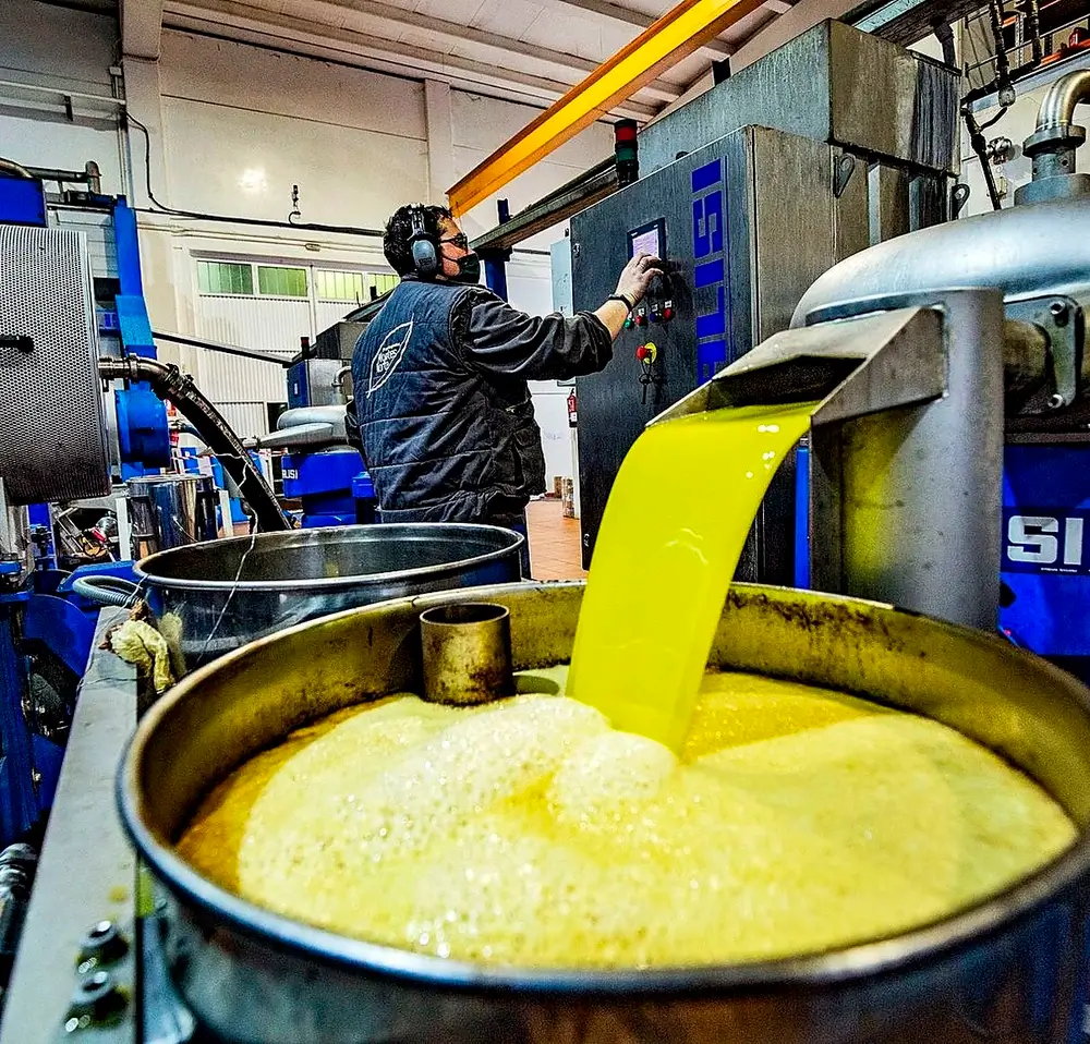 El sector olivarero señala una caída excesiva de los precios