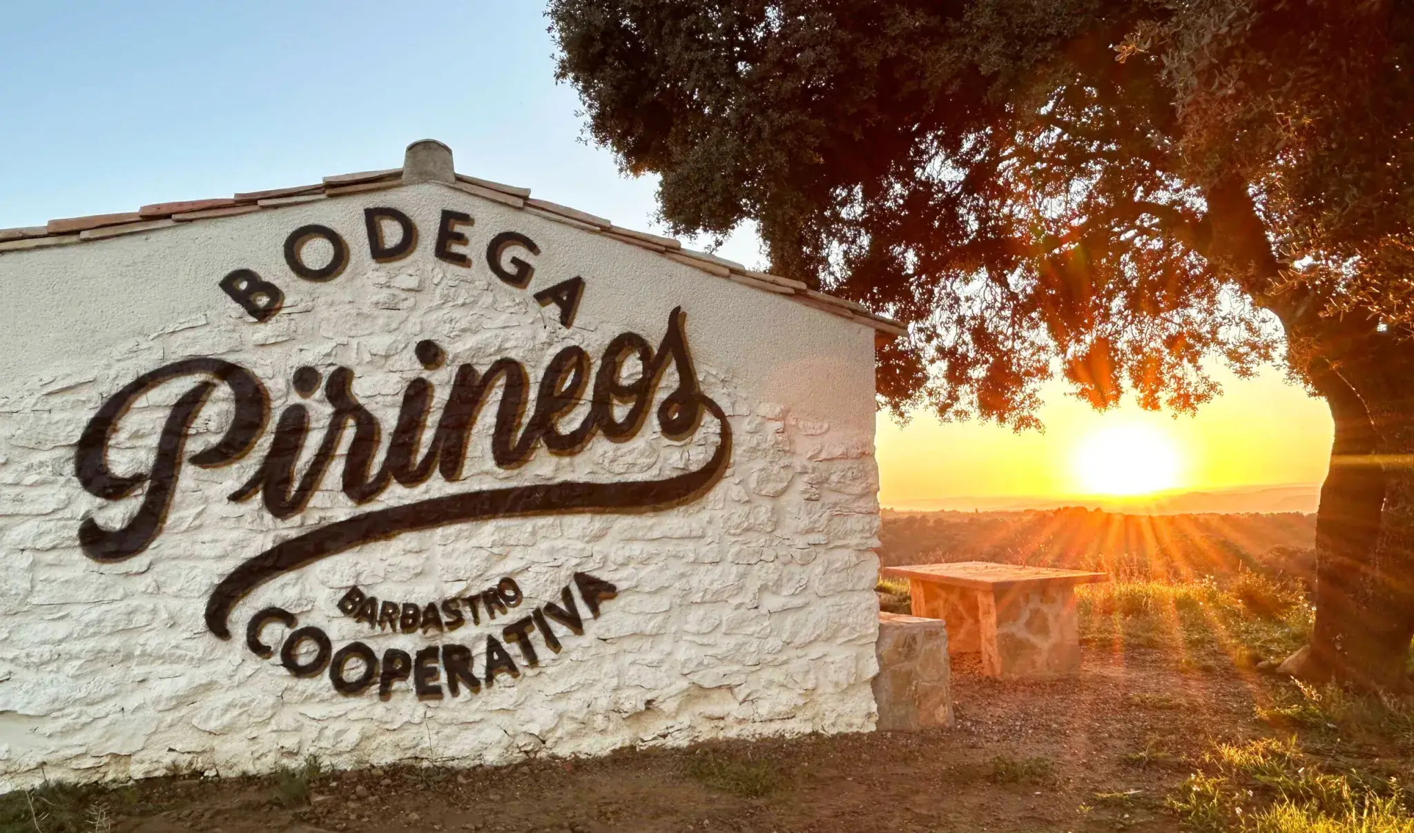 La Federación Española del Vino distingue a Pirineos como bodega sostenible