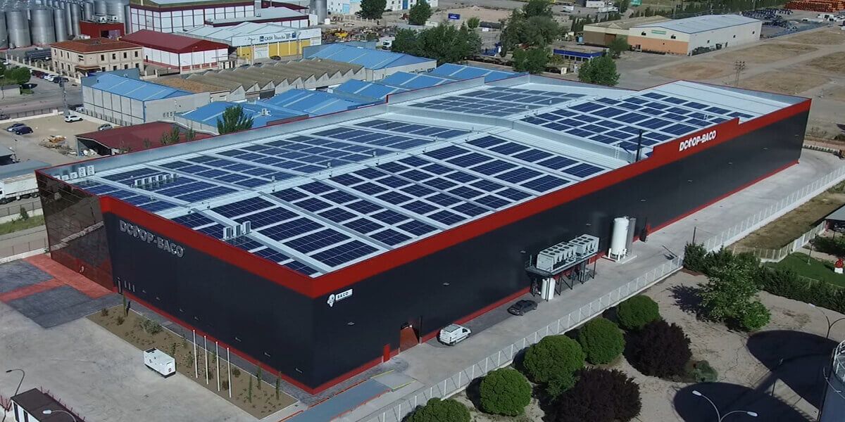 Dcoop incrementa su facturación un 10,3% en 2024 y supera los 1.550 millones