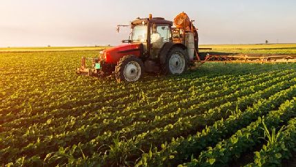 La industria agroalimentaria española superó en 2024 su marca histórica y exportó por 75.000 millones de euros