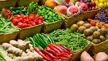 España logra datos récord en el comercio alimentario en 2024 y un superávit de 18.044 millones