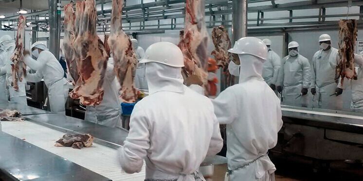 Alimentación será uno de los sectores que mayor ocupación generará en 2025