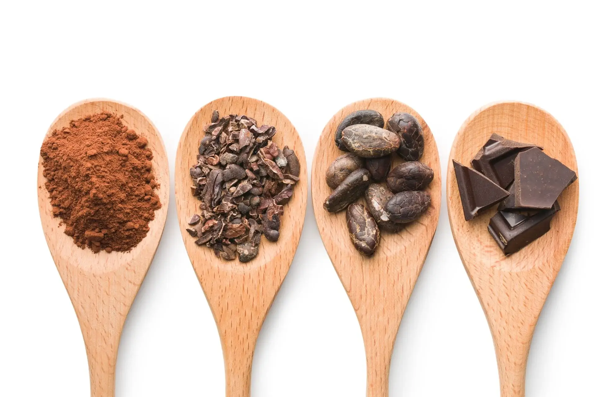 BasqueTxok, el cacao más rico del mundo