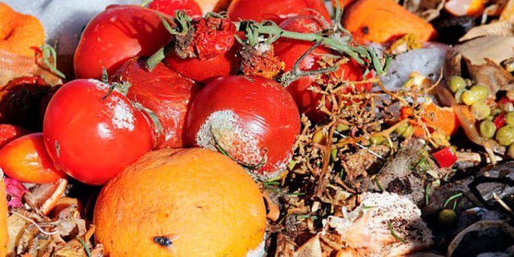 Acuerdo sobre nuevas normas para reducir el desperdicio de alimentos en la UE