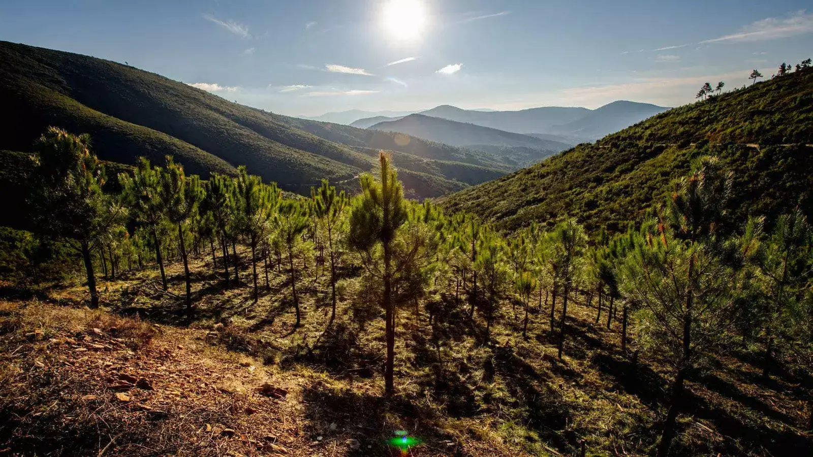 ¿Qué es el nuevo registro de huella de carbono aprobado por el Gobierno?