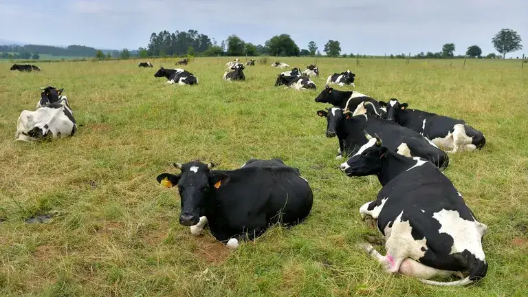 Climalact, la etiqueta que distinguirá a las granjas de leche más sostenibles