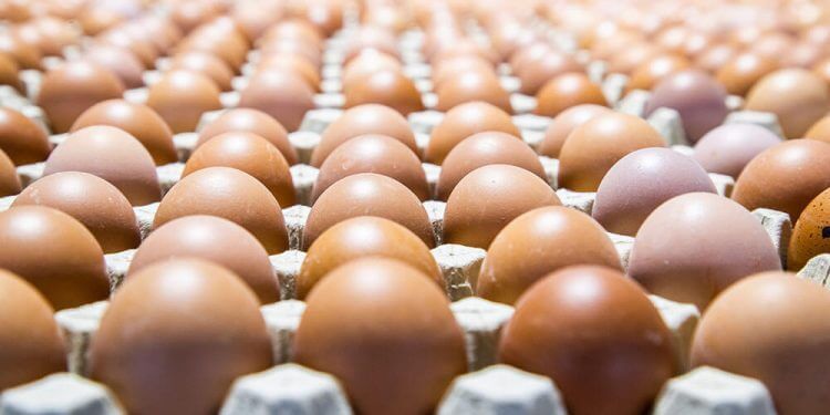 El precio de los huevos se disparó un 20,1% en marzo en comparación con febrero