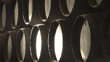 Las bodegas dan el paso: vinos más resilientes y sostenibles con el medioambiente y la economía local