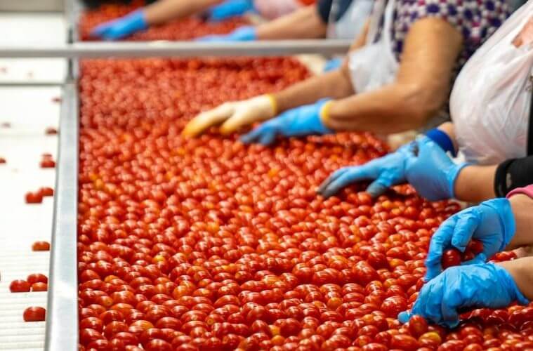 A pesar del contexto global, la industria alimentaria sigue estable y creciendo