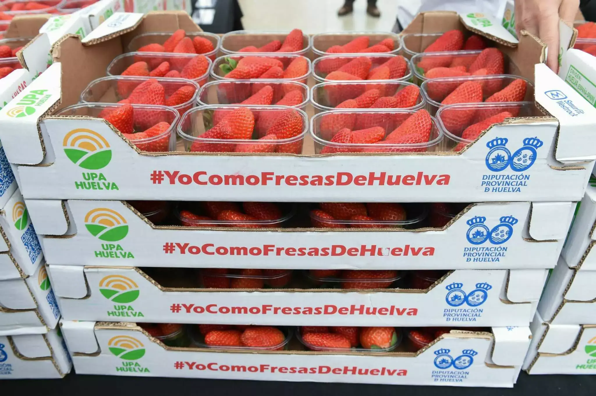 Huelva se sitúa como primer productor de fresa y arándano de la UE: ventas de 1.207 millones en 2024