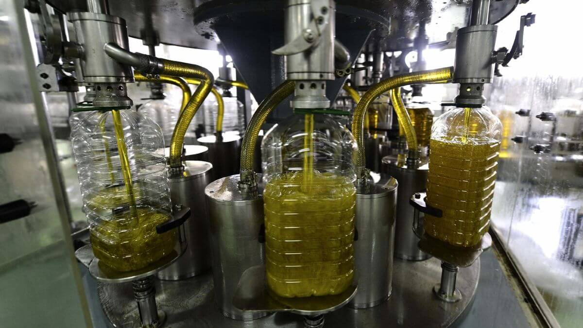 El campo olivarero estalla contra el aceite de oliva: “2 euros menos”
