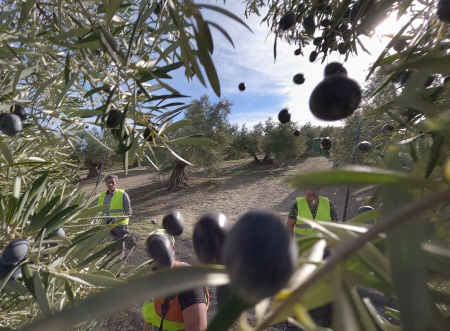 La industria alimentaria recibe la tregua arancelaria como un «balón de oxígeno»