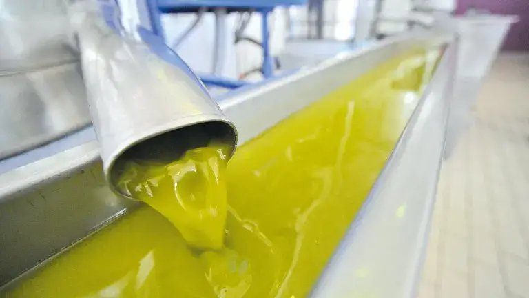 El aceite de oliva duplica sus ventas en el primer trimestre de 2025