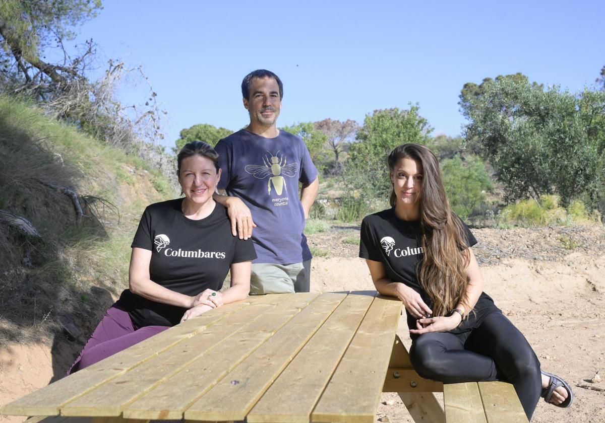 Premios a la Sostenibilidad Medioambiental: el impulso social que reverdece el mundo