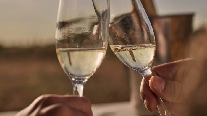 El Cava brilla en los Decanter World Wine Awards 2025 con un Platinum y ocho medallas de oro