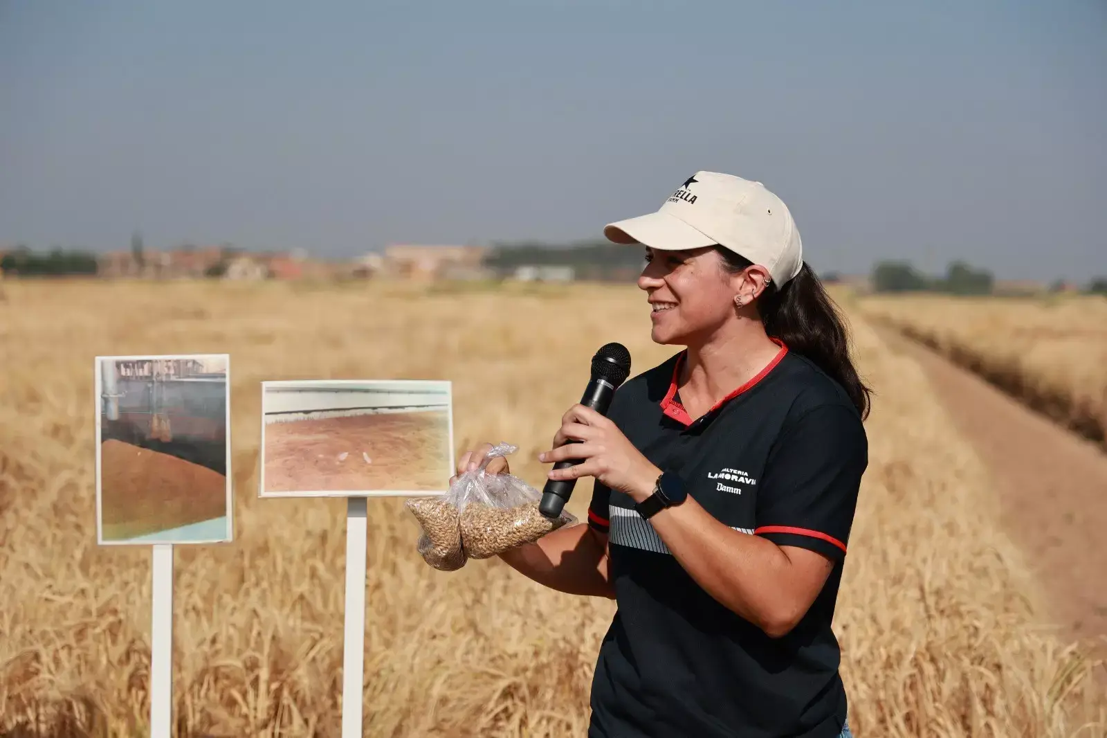 Cervezas Damm impulsa un proyecto para desarrollar una cebada más resistente al cambio climático