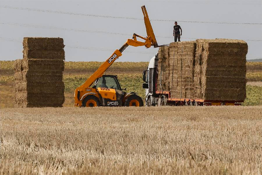 El calor ya se traduce en más costes para el campo