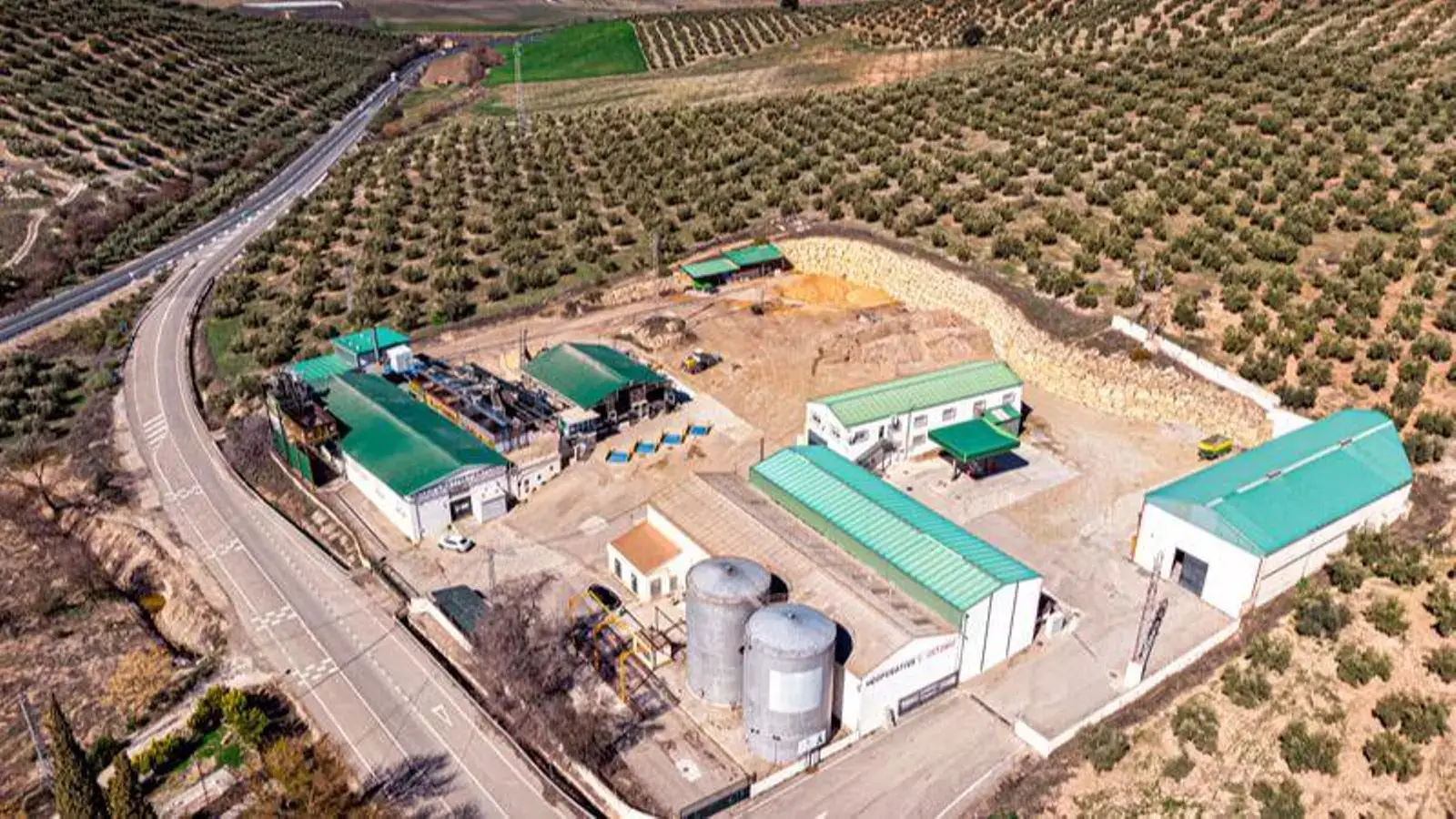 Interóleo incorpora a Motaoliva y refuerza su liderazgo en la producción de aceite de oliva virgen extra