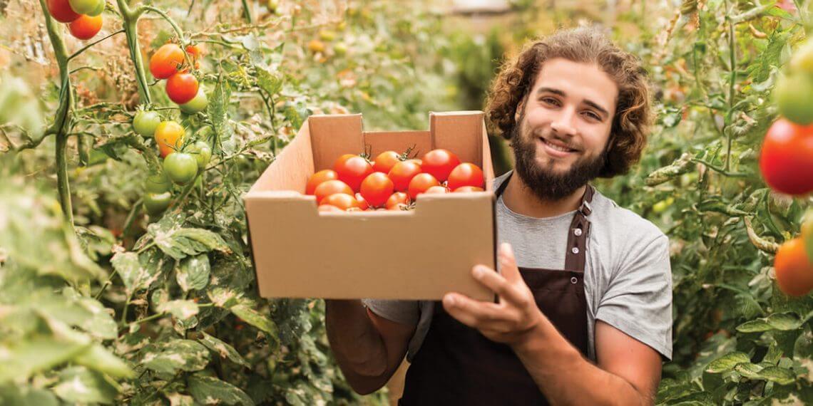 El sector agroalimentario impulsa la circularidad de los envases comerciales