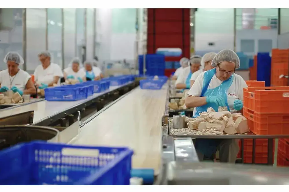 Jealsa, Congalsa, Mascato, Profand… Los grandes proveedores gallegos de Mercadona ganan un 50% más