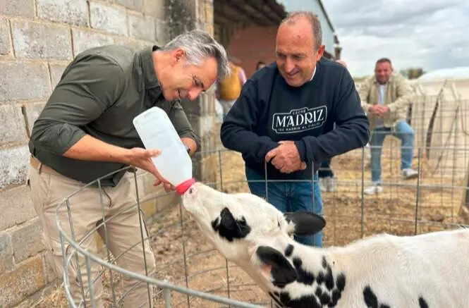 La Comunidad impulsa el sector lácteo con un 29% más de explotaciones en cuatro años