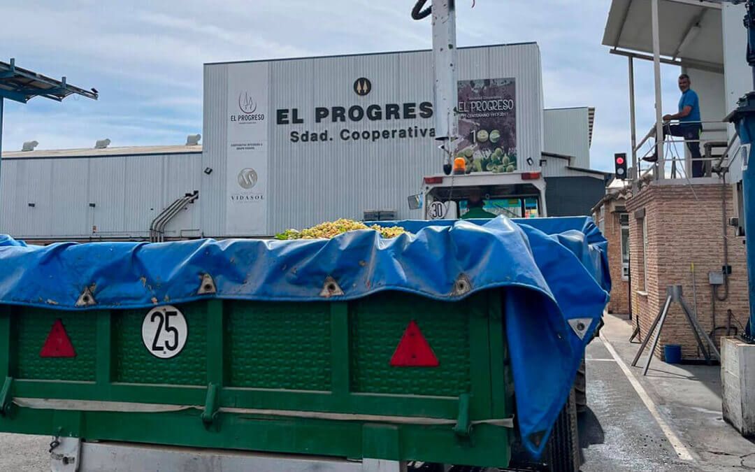 Arranca la campaña de producción 2025/26: España produjo un 5,6% más de vino en agosto mientras que sus existencia bajaron un 2,1%