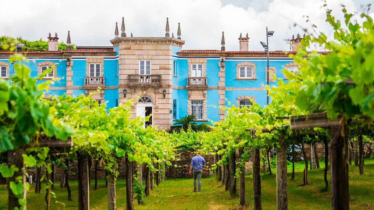 Bodegas Granbazán eleva ingresos a cuatro millones el año que entró en el club de los 100 mejores viñedos del mundo