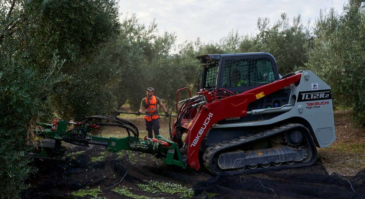 Las salidas de aceite de oliva arrancan fuertes la nueva campaña con el virgen extra en el entorno de los 5 euros en origen