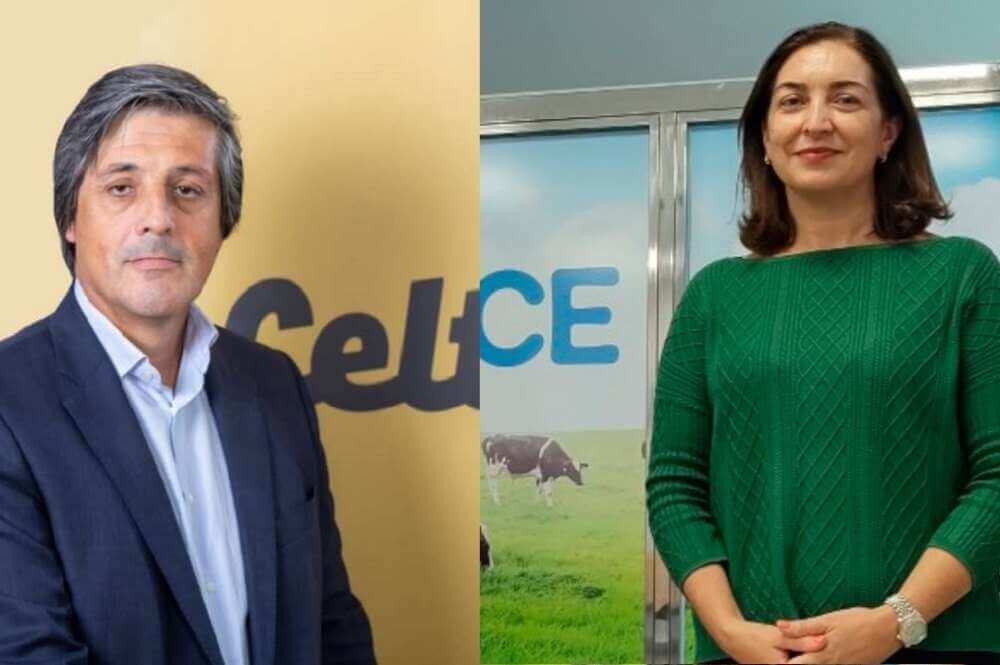Ranking lácteo gallego: Celta y Clun liderarán en ventas frente a la rentabilidad de Río y el lechero de Mercadona