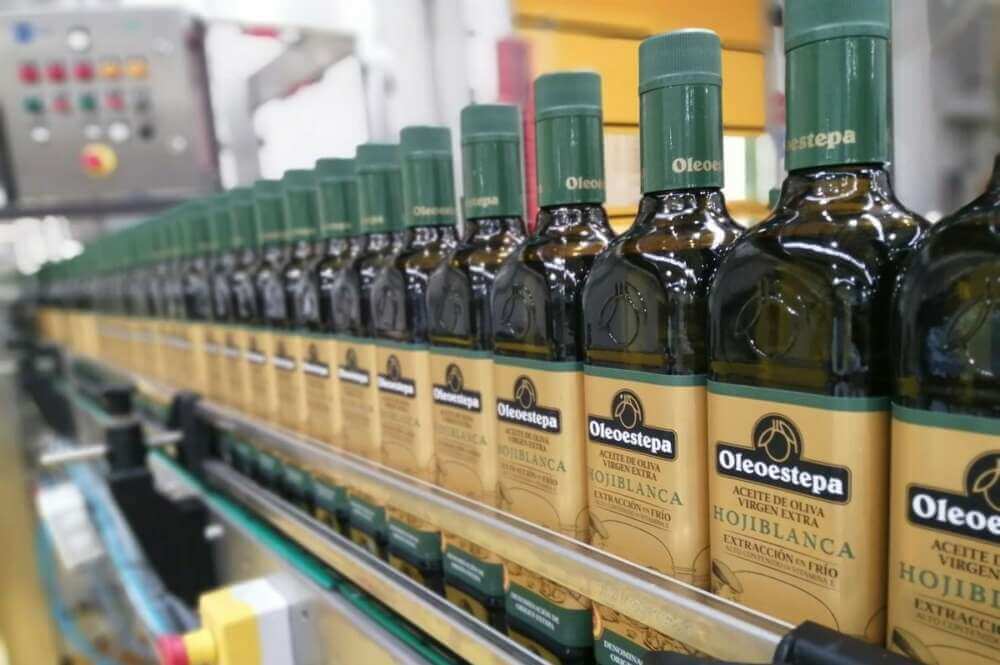 La sequía pasa factura a Oleoestepa, que prevé una producción 11.500 toneladas por debajo de la media