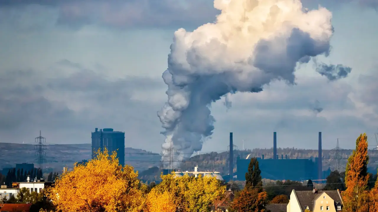 La sostenibilidad rentable: las empresas que ganan dinero reduciendo su huella de carbono