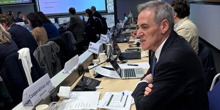 Cooperativas Agro-alimentarias defiende en Bruselas la importancia del sector de la aceituna de mesa