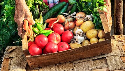 El alza de precios frena por primera vez en una década el consumo de alimentos ecológicos