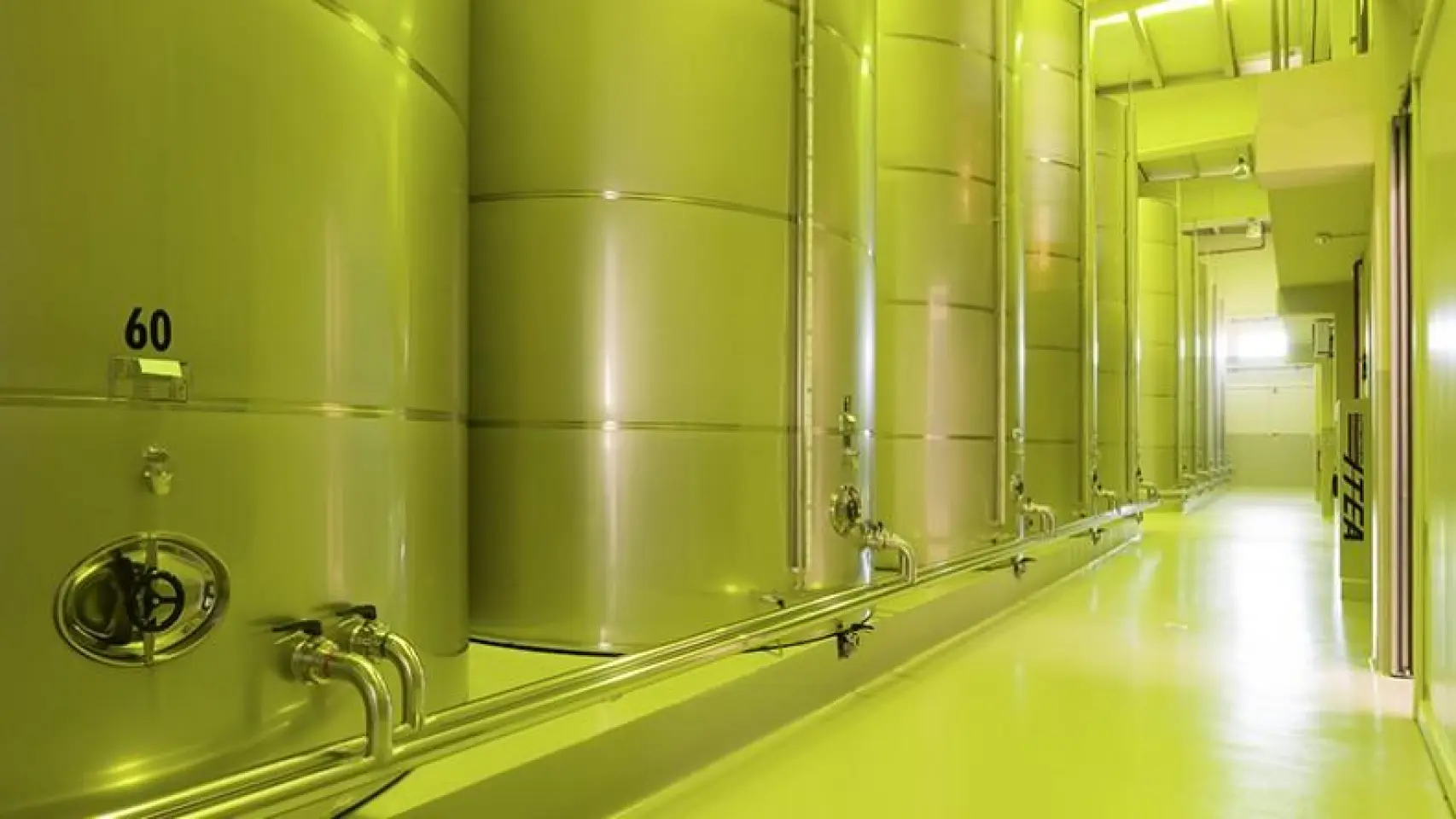 La cooperativa de aceite de Bailén premiada como la mejor de España: un ejemplo de modernización del sector