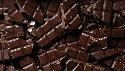 Adiós al chocolate: el cambio climático persigue a los fabricantes que luchan por mantener el sabor
