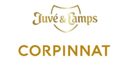 Juvé & Camps entra en Corpinnat, deja la D.O. Cava y defiende «custodiar el origen Penedès»