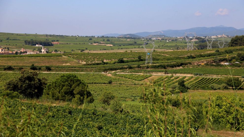 La acelerada expansión de las renovables, ¿la nueva amenaza para los viñedos en el Penedès?