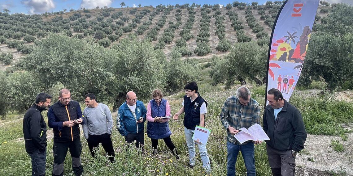 VivaOliva sigue fomentando la agricultura regenerativa en Jaén con la formación de agricultores
