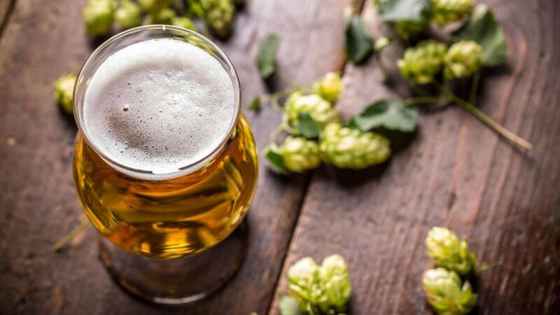 El lúpulo y la levadura reescriben el sabor de la cerveza