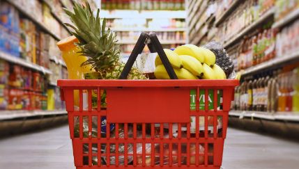 La OCU avisa sobre la cesta de la compra: estos son los alimentos que bajan y los que siguen disparados
