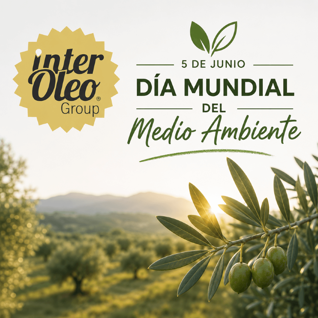 Interóleo sitúa al olivar como aliado estratégico frente al cambio climático