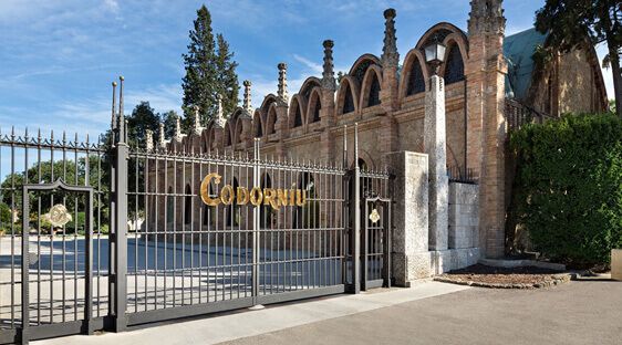 Codorníu aumentará un 20% la compra de uva en la vendimia de 2026
