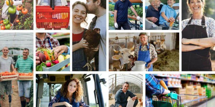 Un nuevo informe destaca el papel de las normas de competencia de la UE en la agricultura