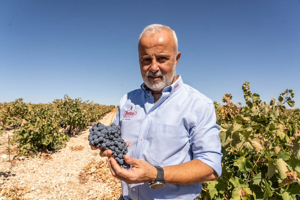El vino se prepara para afrontar el cambio climático