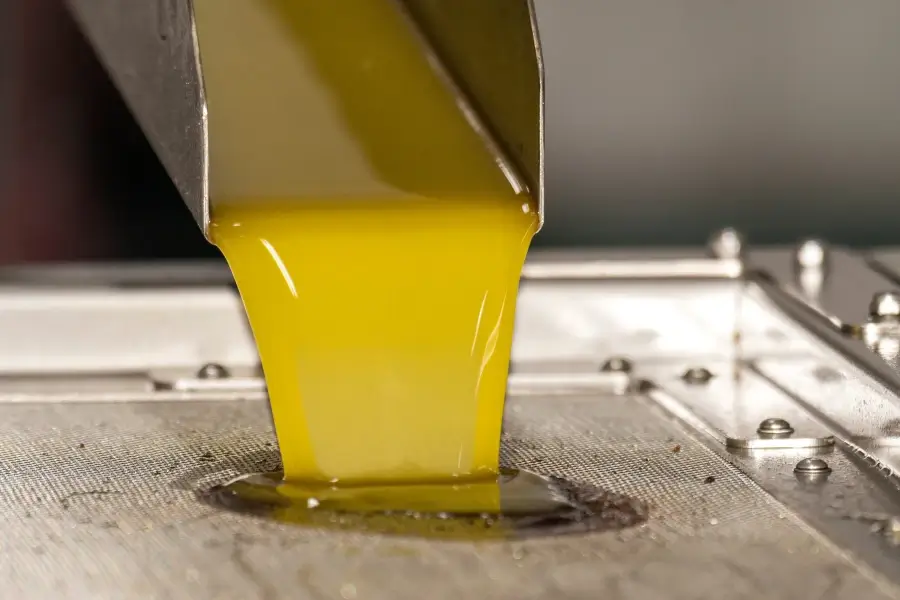 España debe liderar no solo la producción de aceite de oliva, sino también su comercialización