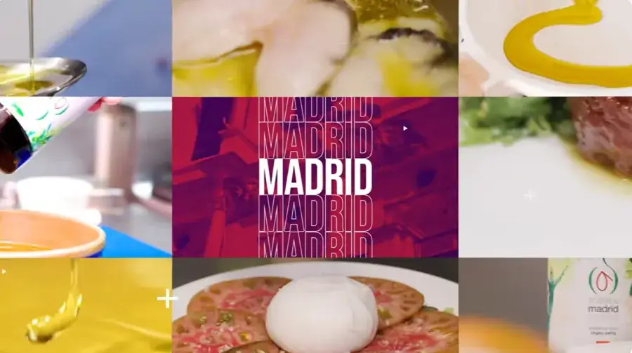 La DOP Aceite de Madrid reivindica el valor del AOVE madrileño