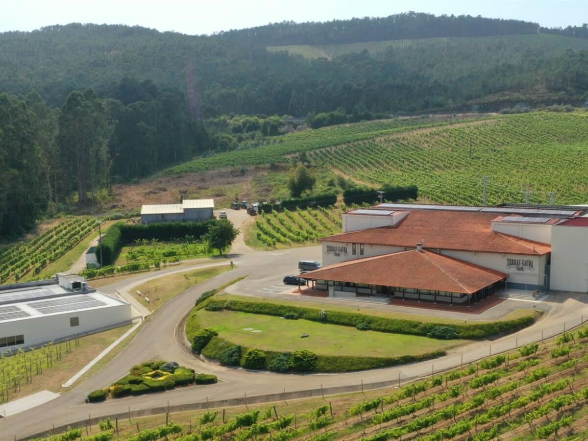 Terras Gauda dispara su expansión exterior en 2026