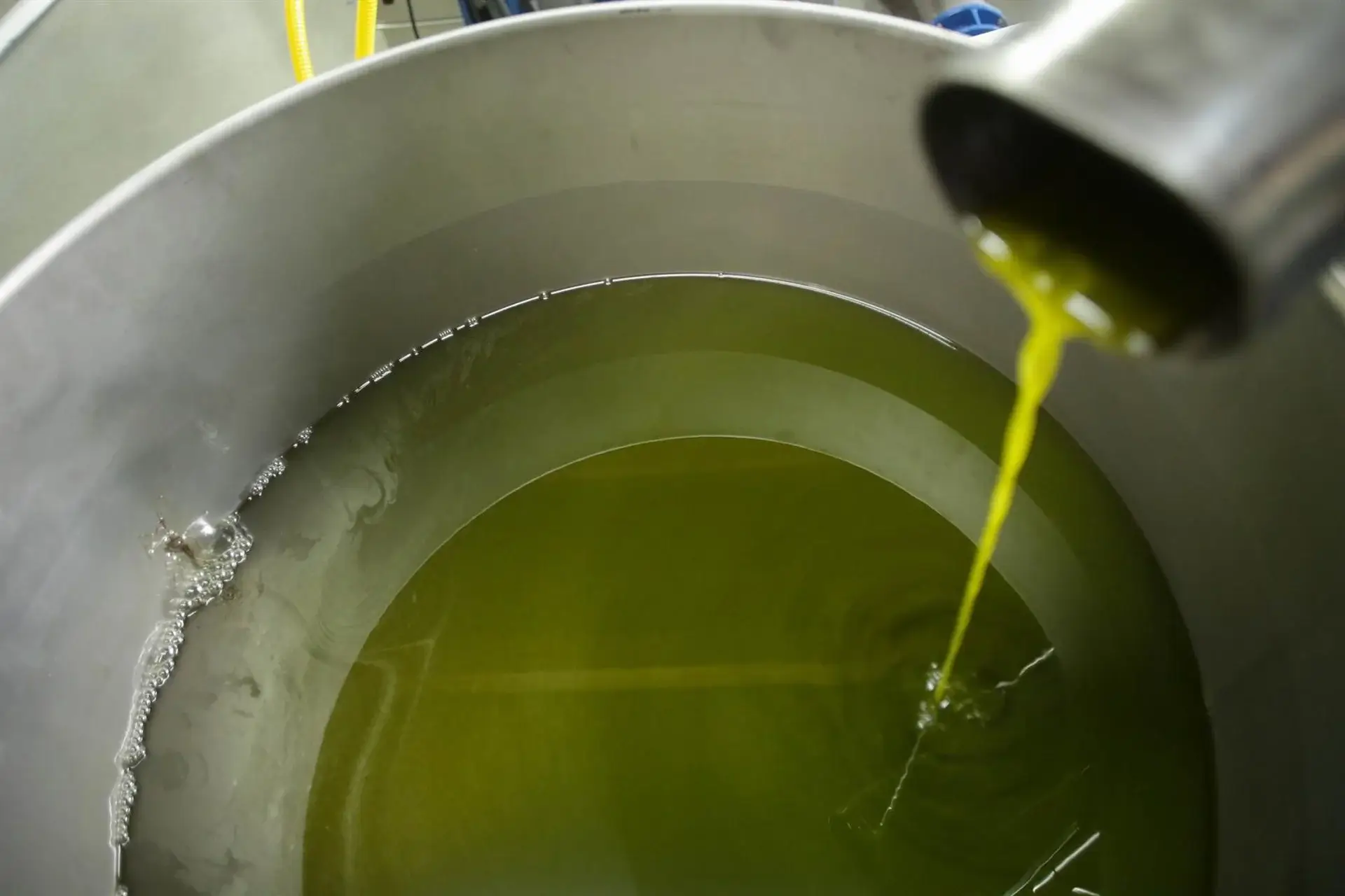 Cooperativas piden al Gobierno intervenir ante la caída de precios del aceite de oliva y bloqueo del mercado